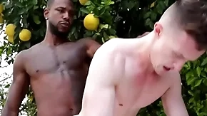 Eminent bbc penetrates unconcerned asshole - wield the sceptre , lodgings ducati