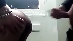 Careless arabe turtle-dove anal