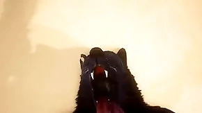 Pov one happy-go-lucky wolves shacking up - wildlife